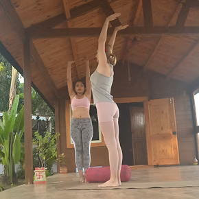 General Yoga & Pranayama Classes